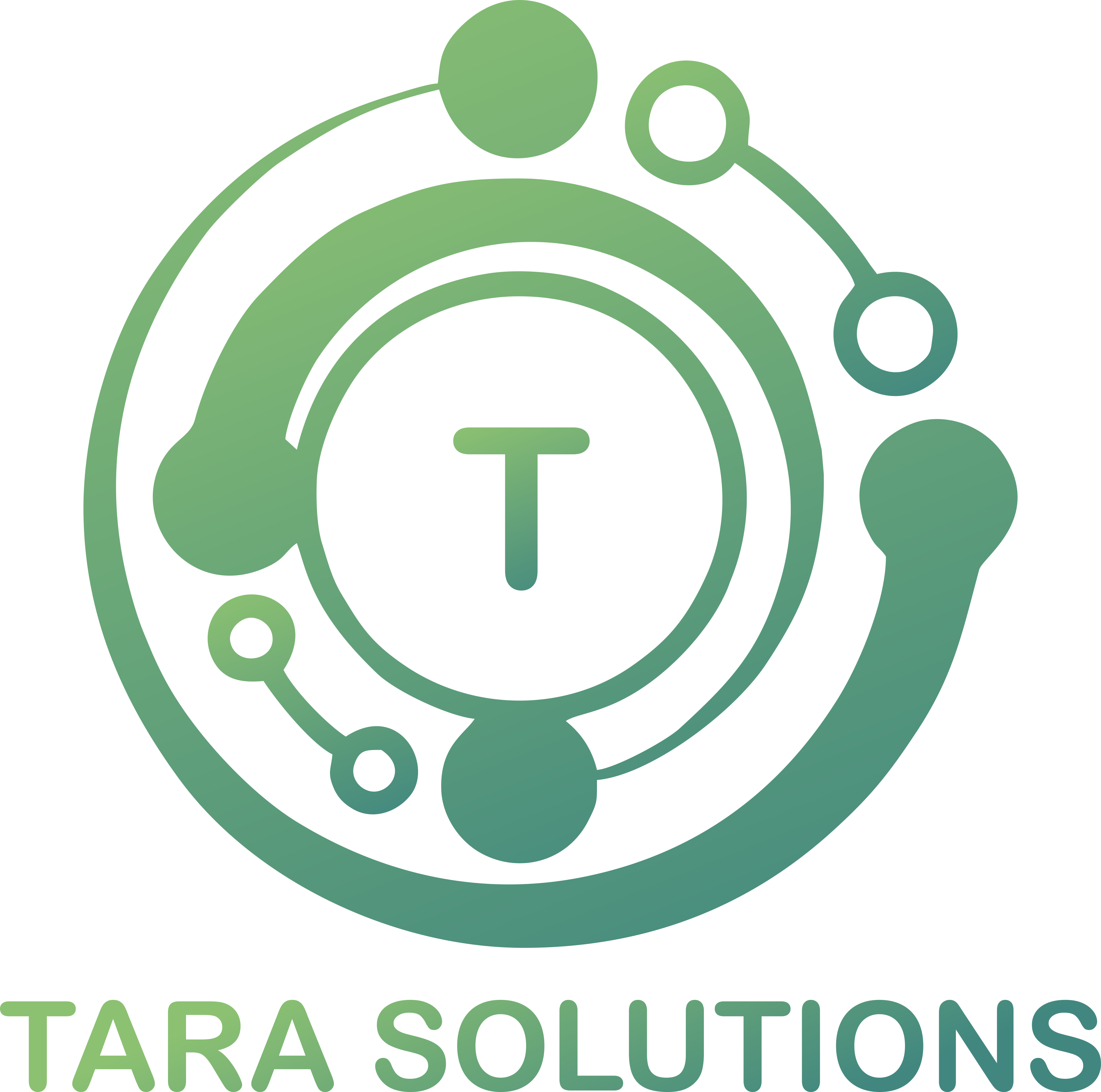 Tara Solutions Inc logo